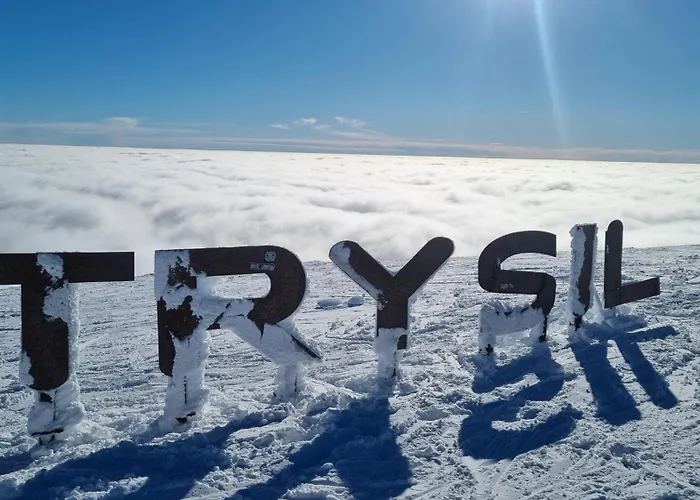 Alpinvegen 22B, Trysil Alpin 22B