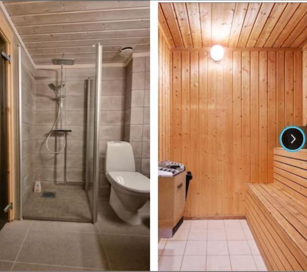 Alpinvegen 22b, Alpin 22b * Trysil